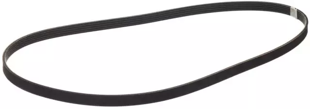 Accessory Drive Belt - Nissan (11920-0W002)
