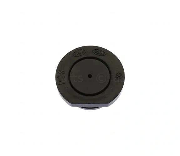 Plug - Kia (24352-2GGB0)