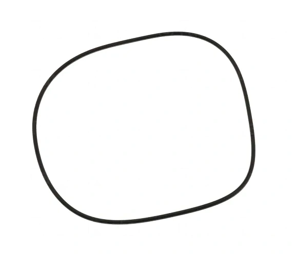 O-Ring - Volvo (30622698)