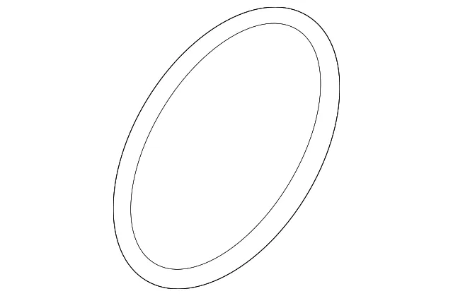 Turbocharger O-Ring - Volvo (30622886)