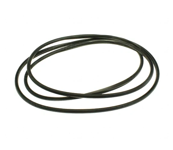 Sunroof Seal - Volvo (31218248)