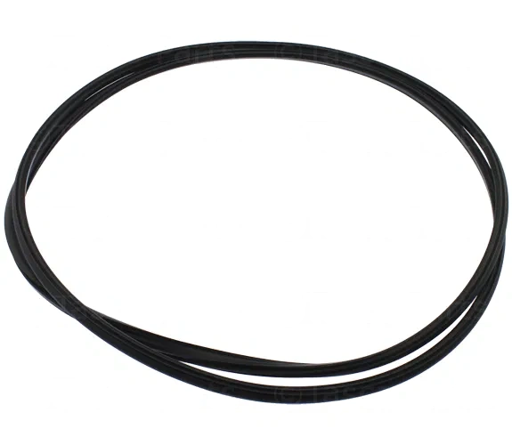 Sunroof Seal - Nissan (91246-1MA1A)