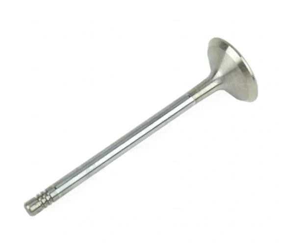 Valve - Volvo (9454607)