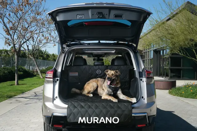Pet Cargo Area Protector - Nissan (999C3-C900P)