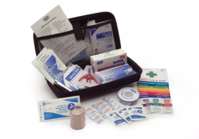 First Aid Kit - Large - Kia (R0F73-AU100)