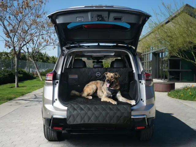 Pet Cargo Area Protector - Nissan (T99C3-6MA0P)
