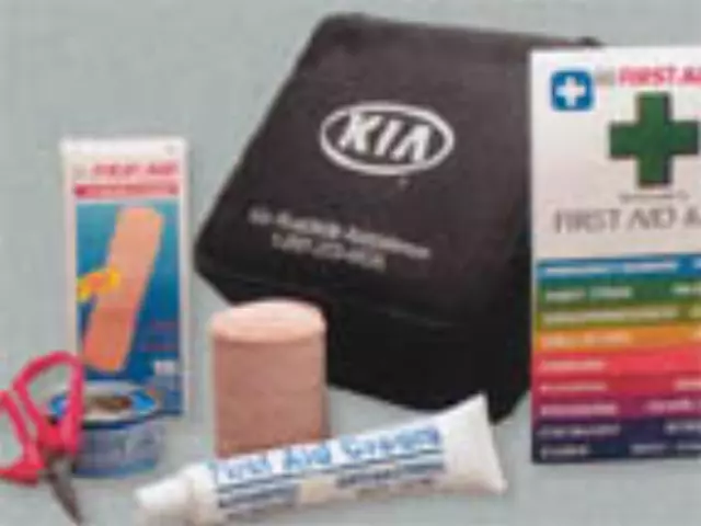 First Aid Kit - Kia (UB030-AY095) - view 2