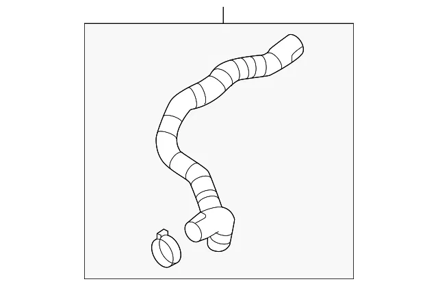 Lower Hose - Mazda (px8e151jx)